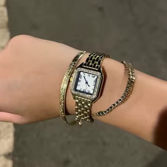 Panthere silver Watch Stainless Steel Jewelry Accessory main image 13